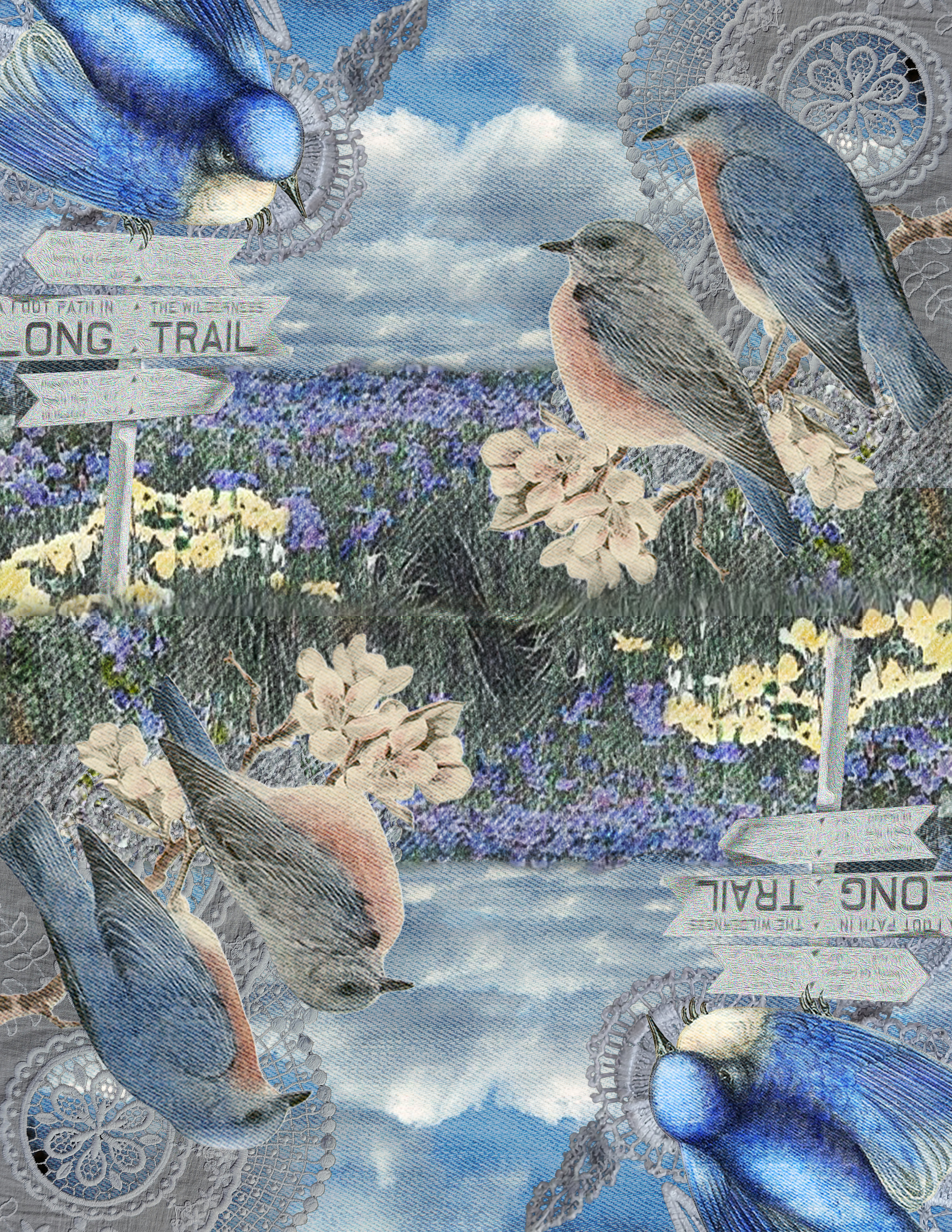 MEJO 572 Levi's print design — bluebird concept collage on denim